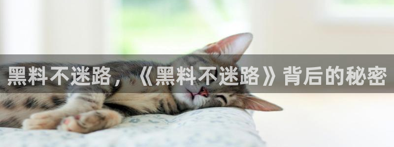 知名名人丑闻新瓜曝光